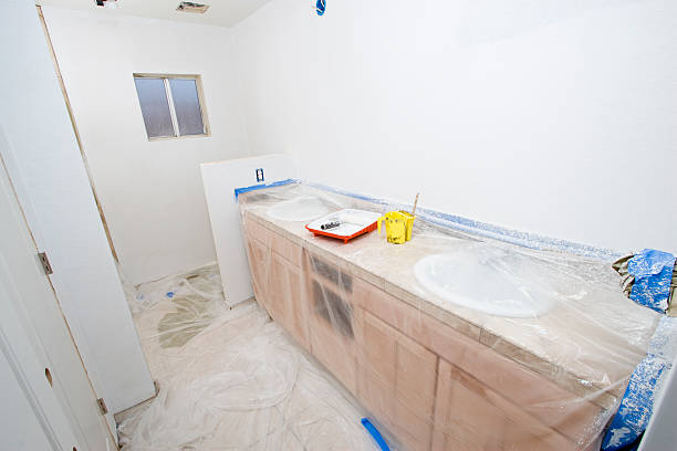  Carlin, NV Painting & Drywall Services Pros